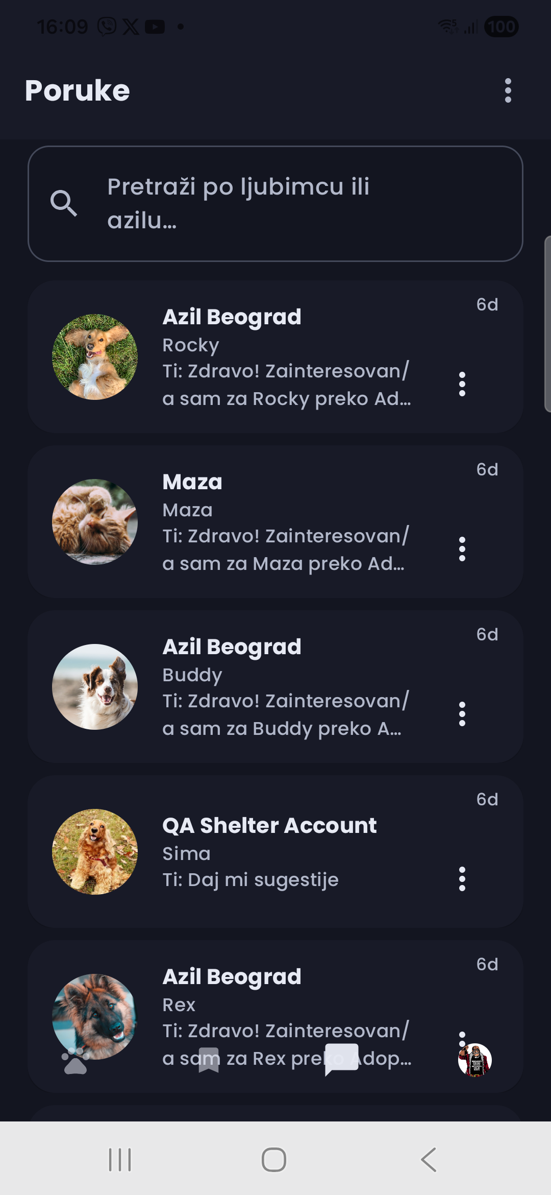 Shelter chat screenshot